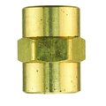 Jmf Company 1/4 in. FPT X 1/4 in. D FPT Brass Coupling 4338588